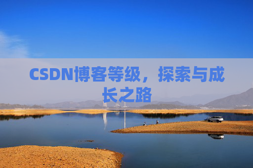 CSDN博客等级，探索与成长之路